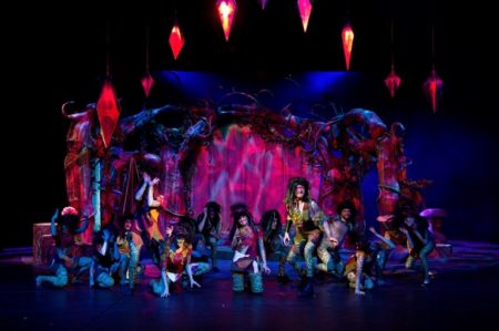 zahrada divů plzeň