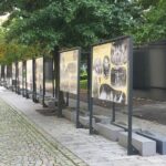 Výstava Objevte příběh plzeňského skautingu!