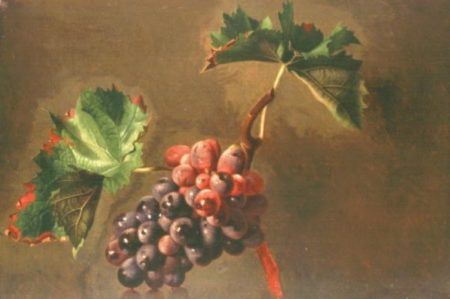 Hrozen vína s větévkou