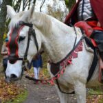 Svatý Martin na Radyni