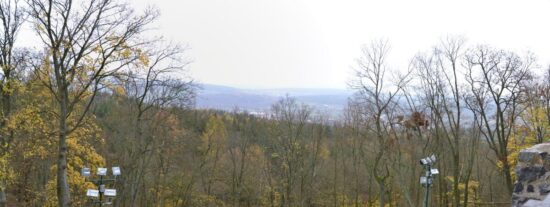 Svatý Martin na Radyni