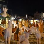 Vánoční strom na náměstí Republiky v roce 2017