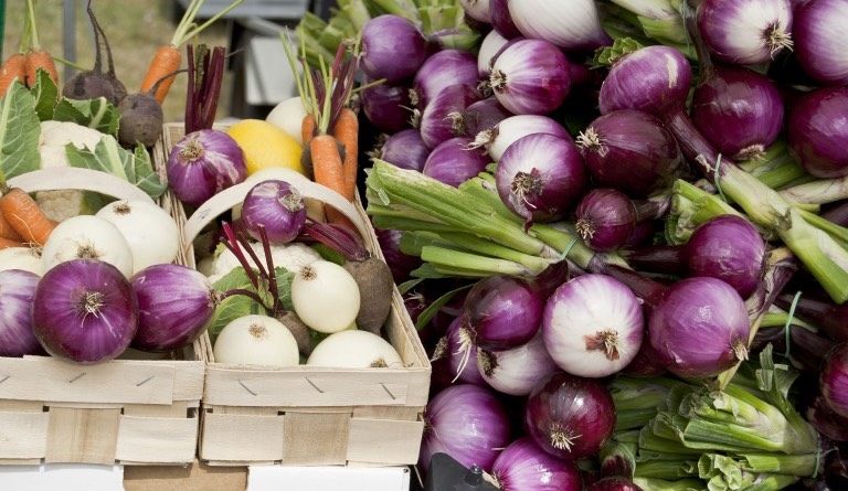 farmářské trhy v plzni