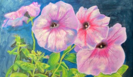 vápeníková visio art