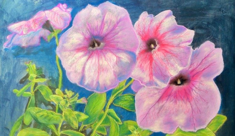 vápeníková visio art