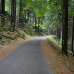 Cestou k Černému jezeru