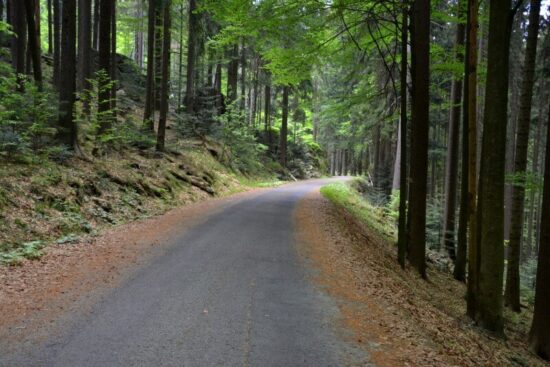 Cestou k Černému jezeru