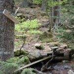 Cestou k Černému jezeru