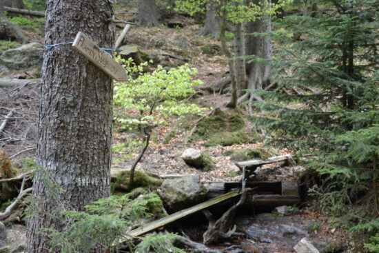 Cestou k Černému jezeru