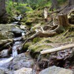 Cestou k Černému jezeru