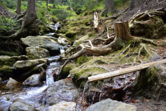 Cestou k Černému jezeru