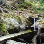 Cestou k Černému jezeru