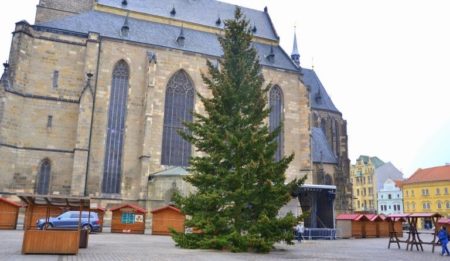 vánoční strom v plzni