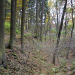 Tak nějak mohla vypadat středověká stezka