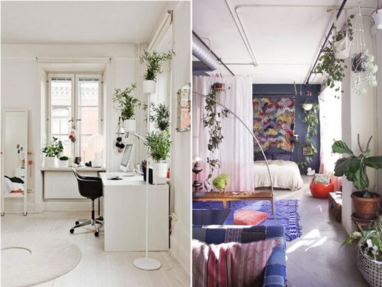 Trend zvaný urban jungle