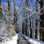 zima na jižním plzeňsku