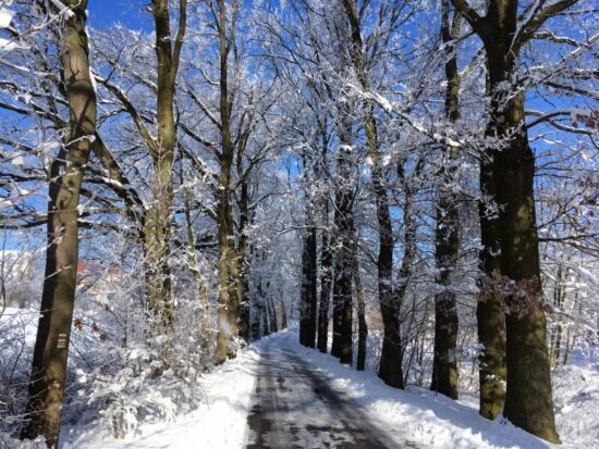 zima na jižním plzeňsku