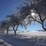 zima na jižním plzeňsku