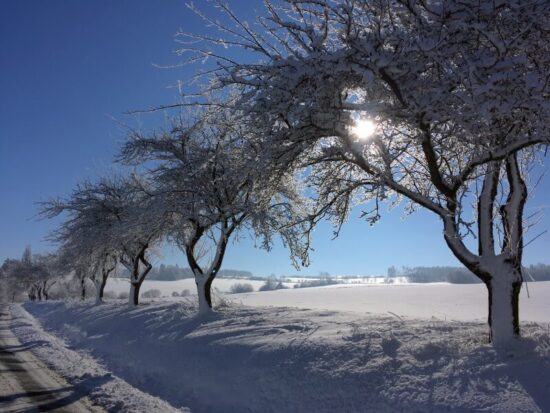 zima na jižním plzeňsku