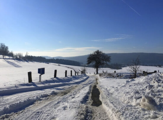 zima na jižním plzeňsku