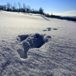 zima na jižním plzeňsku