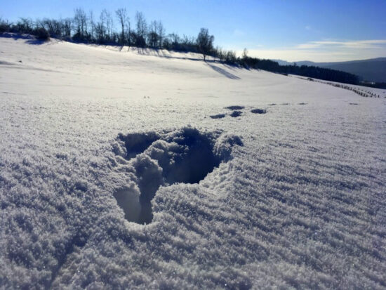 zima na jižním plzeňsku