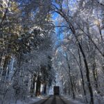 zima na jižním plzeňsku