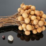 Longan