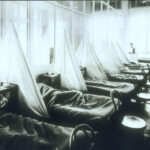 Španělská chřipka