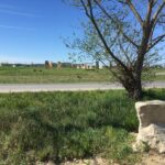 Geopunkturní kameny u Vstiše