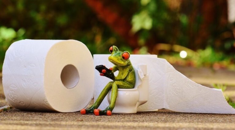 toaletní papír