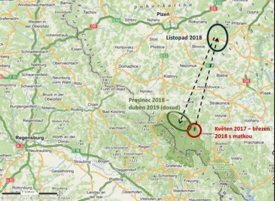 Mapa migrace rysa Fabiána