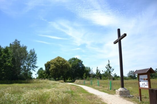 Martinská stěna Dobřany