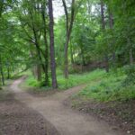 Martinská stěna Dobřany