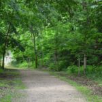 Martinská stěna Dobřany