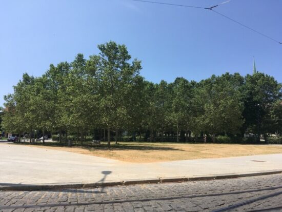 Místo, kde má vyrůst nová budova.