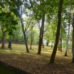 Starý židovský hřbitov v Plzni