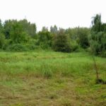 Přilehlou roklí protéká bezejmenný potok.