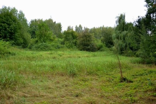 Přilehlou roklí protéká bezejmenný potok.