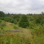 Nebýt hluku, nepoznáte, že jste skoro v centru města.