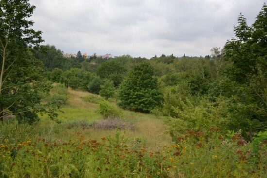 Nebýt hluku, nepoznáte, že jste skoro v centru města.