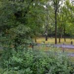 Starý židovský hřbitov v Plzni