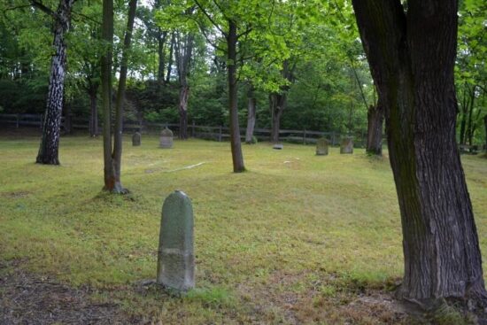 Starý židovský hřbitov v Plzni