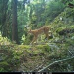 Matylda v srpnu 2018