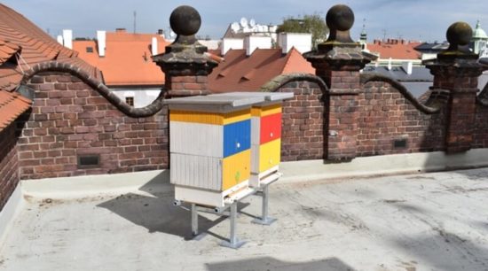včely na radnici
