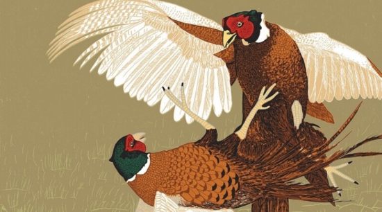 to jsem z toho jelen