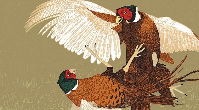 to jsem z toho jelen