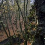 Hrádek u České Břízy