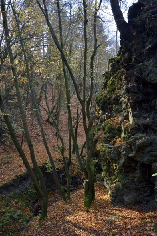 Hrádek u České Břízy