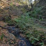 Hrádek u České Břízy